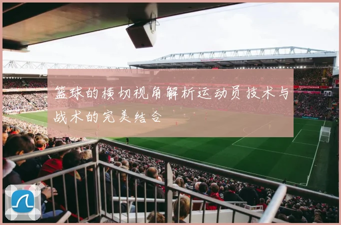 篮球的横切视角解析运动员技术与战术的完美结合