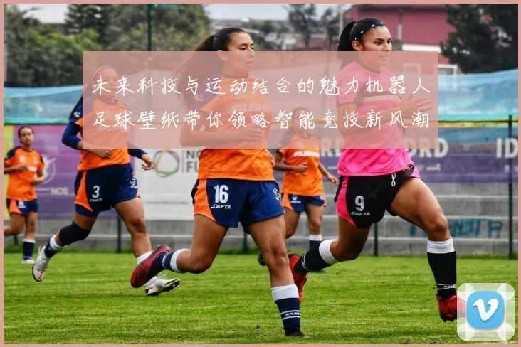 未来科技与运动结合的魅力机器人足球壁纸带你领略智能竞技新风潮