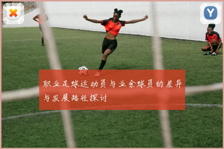 职业足球运动员与业余球员的差异与发展路径探讨
