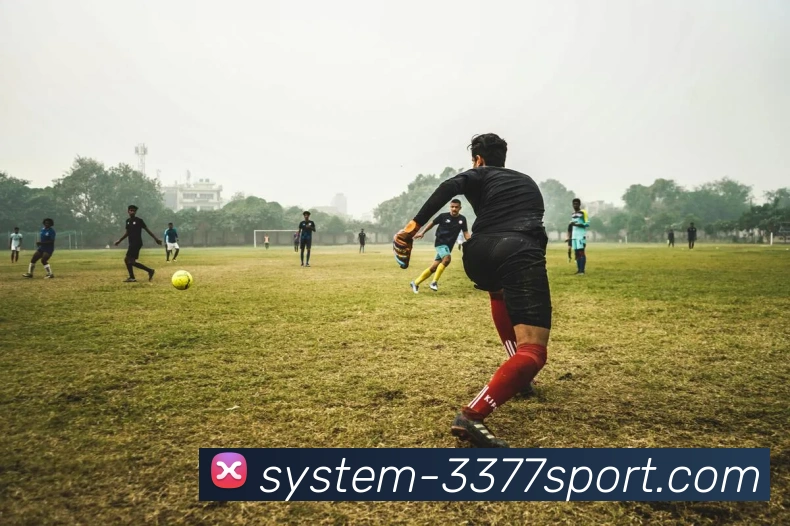 3377体育平台生态图